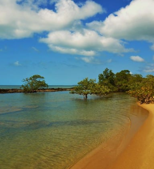 imagem_2023-12-14_173953711